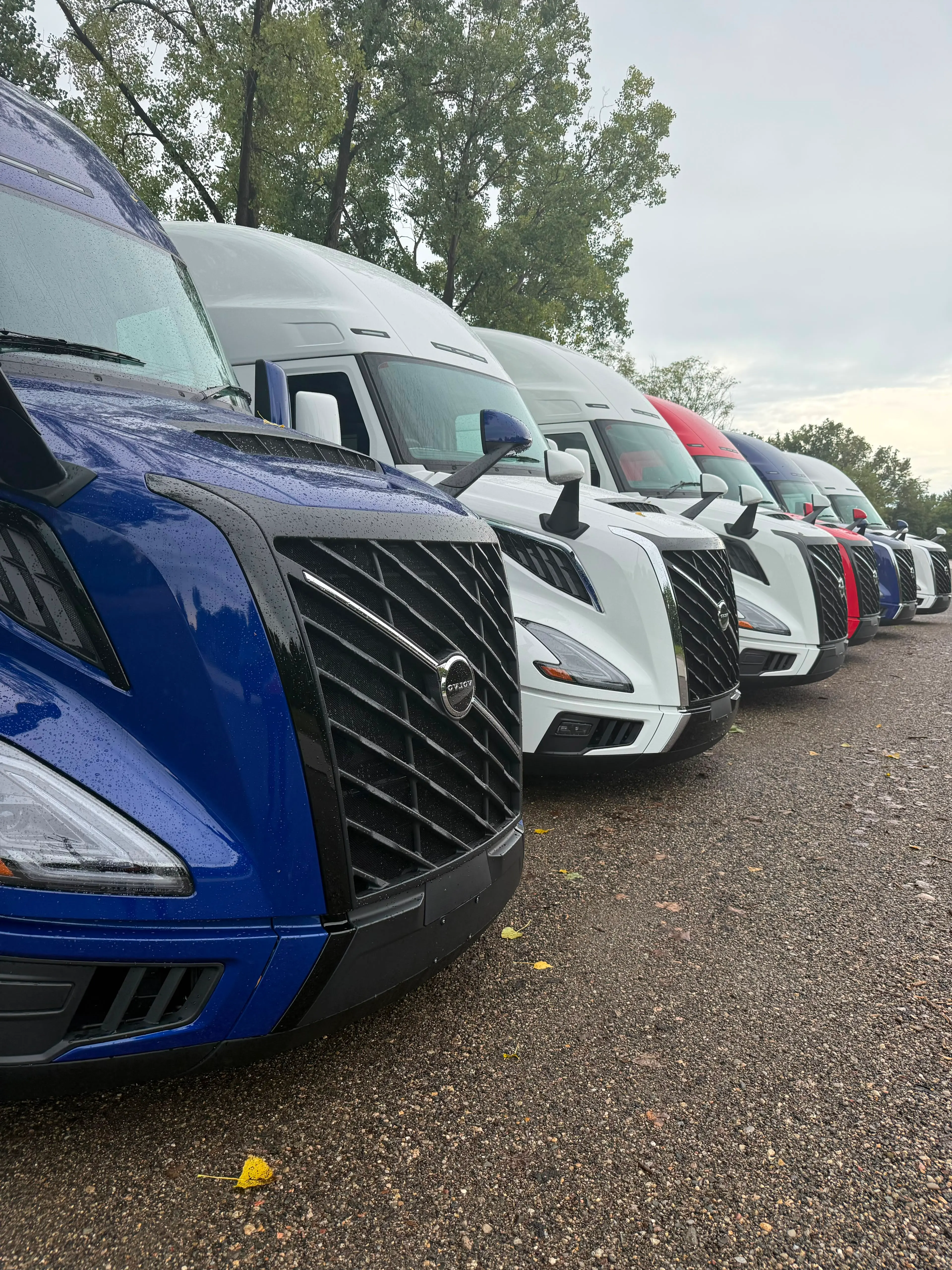 Row of M&Q semi-trucks ready for dispatch